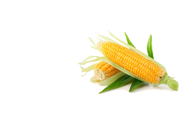 Zaib Agro Global Corn