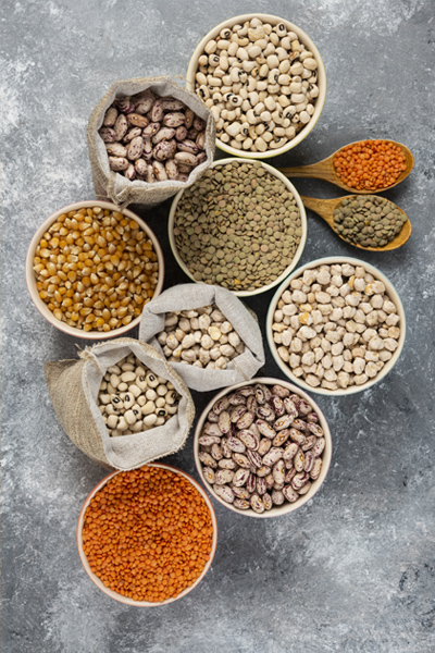 Zaib Agro Global Pulses